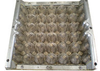 カスタマイズ可能な形成のパルプの銅 30 のキャビティ卵の皿の型/ダイス